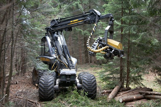 maszyna w lesie