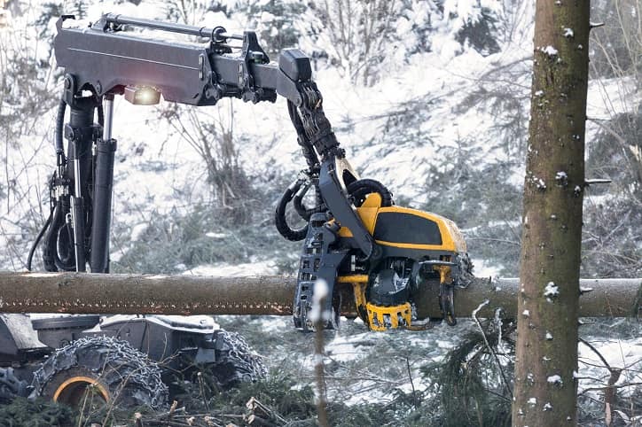 obróbka ściętego drzewa za pomocą harvestera